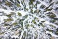 Aerial image from the top of snowy mountain pines in the middle of the winter. top aerial view Royalty Free Stock Photo