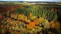 Aerial 4k drone view of autumnal tree top canopy in the United Kingdom Royalty Free Stock Photo