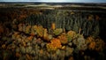 Aerial 4k drone view of autumnal tree top canopy in the United Kingdom Royalty Free Stock Photo