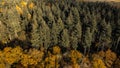 Aerial 4k drone view of autumnal tree top canopy in the United Kingdom Royalty Free Stock Photo