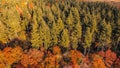 Aerial 4k drone view of autumnal tree top canopy in the United Kingdom Royalty Free Stock Photo