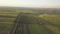 AERIAL. 4K. flight over the fields at sunset. Beautiful scenery with fields and trees at sunset of the day.