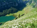 Aerial of Lake Seealp in Alpstein, Appenzell, Switzerland. Royalty Free Stock Photo