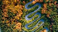 Aerial landscape of colourful landscape with heavy traffic, rural road, autumn trees with, yellow and orange leaves. Top view of