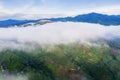 Aerial landscape of fog above tea plantation Royalty Free Stock Photo