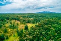 Landscape of native Australian forest with mountain in the background. Royalty Free Stock Photo