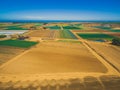 Aerial landscape of plowed fields and crops near ocean coastline.