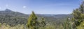 Aerial landscape of rain forest lush vegetation at Coromandel park, near Hikuai, New Zealand Royalty Free Stock Photo