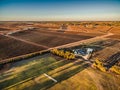 Aerial landscape of rectangles of vineyards.