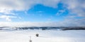 Aerial landscape of the snowy field at winter, Poland