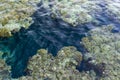 Aerial landscape top view of Red sea bottom with coral reefs through aquamarine transparent water surface south tropical nature Royalty Free Stock Photo