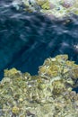 Aerial landscape top view of Red sea bottom with coral reefs through aquamarine transparent water surface south tropical nature Royalty Free Stock Photo