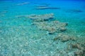 Aerial landscape top view of Red sea bottom with coral reefs through aquamarine transparent water surface south tropical nature Royalty Free Stock Photo