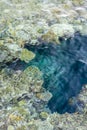 Aerial landscape top view of Red sea bottom with coral reefs through aquamarine transparent water surface south tropical nature Royalty Free Stock Photo