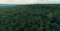 Aerial landscape view nature scenery green forest