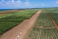 aerial landscape view of sugar cane plantation and fields located countryside Royalty Free Stock Photo