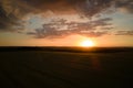 Aerial landscape view of yellow cultivated agricultural field with ripe wheat on vibrant summer evening Royalty Free Stock Photo