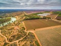 Aerial landscape of vineyard near Murray River.