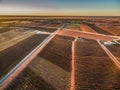 Aerial landscape of vineyars in winter at sunset.