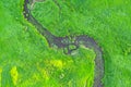 Aerial landscape of winding small river, stream in green field, top view meadow