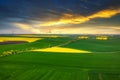 Aerial landscape of the yellow rapeseed field at sunset, Poland Royalty Free Stock Photo