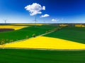Aerial landscape of the yellow rapeseed field under blue sky, Poland Royalty Free Stock Photo