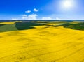 Aerial landscape of the yellow rapeseed field under blue sky, Poland Royalty Free Stock Photo