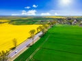 Aerial landscape of the yellow rapeseed field under blue sky, Poland Royalty Free Stock Photo