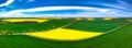 Aerial landscape of the yellow rapeseed field under blue sky, Poland Royalty Free Stock Photo