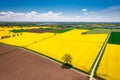 Aerial landscape of the yellow rapeseed field under blue sky, Poland Royalty Free Stock Photo