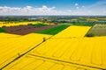 Aerial landscape of the yellow rapeseed field under blue sky, Poland Royalty Free Stock Photo