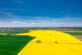 Aerial landscape of the yellow rapeseed field under blue sky, Poland Royalty Free Stock Photo