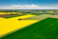 Aerial landscape of the yellow rapeseed field under blue sky, Poland Royalty Free Stock Photo