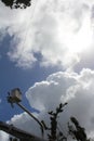 An aerial lift is shown against a blue sky in Puerto Rico after Hurricane Maria.