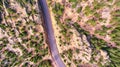 Aerial looking down road through rocky desert landscape