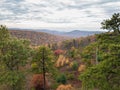 Aerial of Michaux State Forest in Pennsylvania During Fall in th Royalty Free Stock Photo