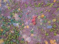 Aerial of Michaux State Forest in Pennsylvania During Fall in th Royalty Free Stock Photo