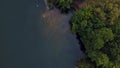 Aerial nature top down of Weissensee lake in Prenzlauerberg Berlin Germany