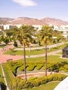 Aerial Oasis: Palm-Adorned Park from Above