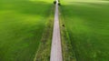 Aerial. Old asphalt road between two spring agricultural fields