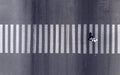 Aerial. One pedestrian walking through the zebra crosswalk. Top view