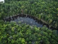 Evergreens Lake Dead Trees Tory Hill Ontario Swamp Aerial