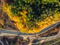 Aerial overhead top down bird eye drone view of asphlat rural country road winding over beautiful green to golden yellow Royalty Free Stock Photo