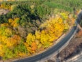 Aerial overhead top down bird eye drone view of asphlat rural country road winding over beautiful green to golden yellow Royalty Free Stock Photo