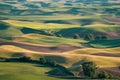 Aerial overhead view of the Palouse from Steptoe Butte, showing different colored crop lands and rolling hills at sunset