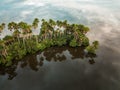 aerial of palm trees and a lake