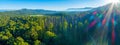 Native Australian forest and mountains. Royalty Free Stock Photo