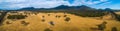 Panorama of pastures and Grampians National Park. Royalty Free Stock Photo