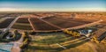 Aerial panorama of rectangles of vineyards in Monash.