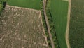 Aerial panorama of the road, that leads between green patterns of fields and gardens